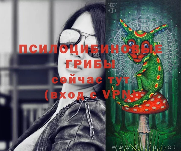 дурь Зерноград
