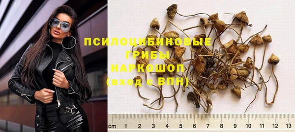 трава Заволжье