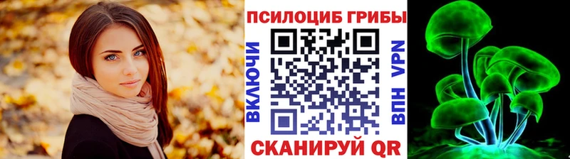 Галлюциногенные грибы мухоморы  магазин  наркотиков  Димитровград 
